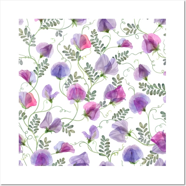 Sweet pea watercolor flowers and leaves seamless translucent composition. Transparent floral spring romantic bouquets Wall Art by likapix